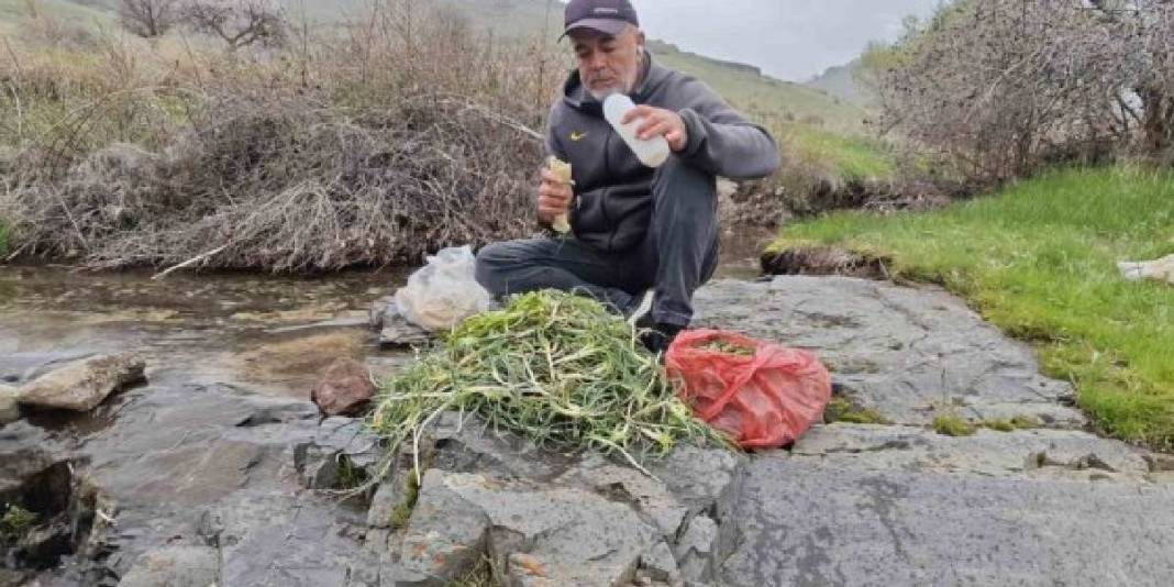 Kilosu 600 TL’yi gördü! Yere çöküp tek tek topluyorlar 2